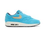 Nike Air Max 1 PRM ‘Baltic Blue’ FB8915-400  Depolic Store