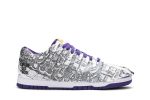 Nike Dunk Low ‘Flip The Old School’ DJ4636-100 Depolic Store