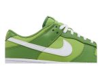 Nike Dunk Low Retro ‘Chlorophyll’ DJ6188-300  Depolic Store