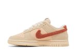 Nike Dunk Low ‘Terry Swoosh’ DZ4706-200  Depolic Store