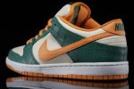 Nike SB Dunk Low Pro ‘Legion Pine’ 304292-383 Depolic Store