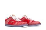 Nike SB Dunk Low x Stingwater ‘Magic Mushroom’ DH7650-600 Depolic Store