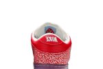 Nike SB Dunk Low x Stingwater ‘Magic Mushroom’ DH7650-600 Depolic Store