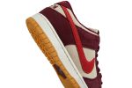 Skate Like a Girl x Nike SB Dunk Low Pro DX4589-600  Depolic Store