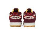 Skate Like a Girl x Nike SB Dunk Low Pro DX4589-600  Depolic Store